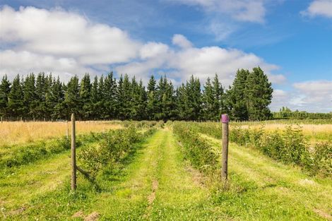 Photo of property in 651 Pound Road, Yaldhurst, Christchurch, 7676