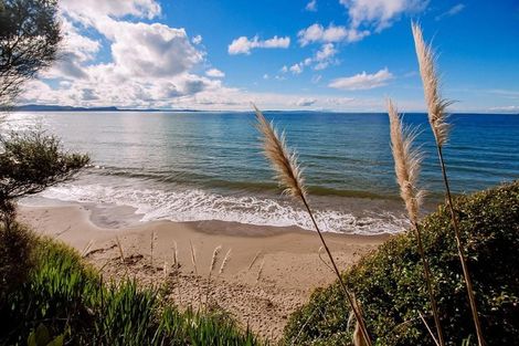 Photo of property in 24d Homestead Road, Manly, Whangaparaoa, 0930