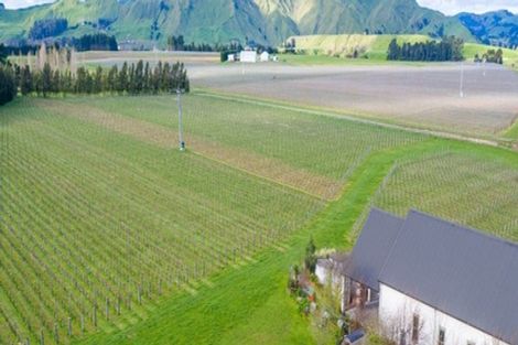 Photo of property in Redbank Estate, 224 Te Muna Road, Martinborough, 5784