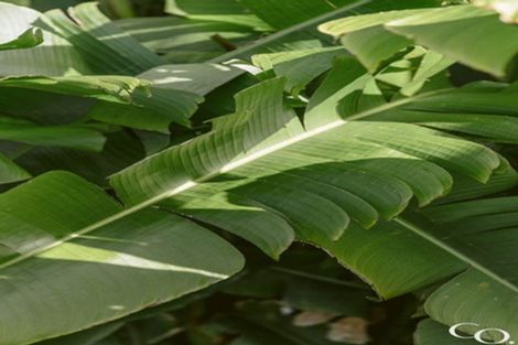 Photo of property in 9 Ngarimu Place, Mount Maunganui, 3116