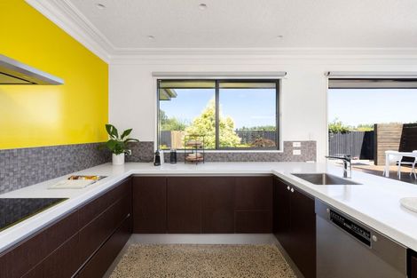 Photo of property in 65 Metehau Street, Marshland, Christchurch, 8083