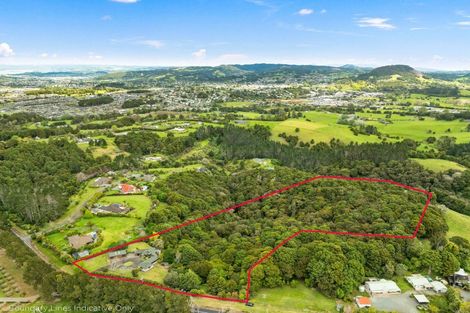 Photo of property in 299 Vinegar Hill Road, Kauri, Kamo, 0185
