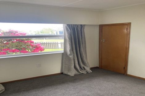 Photo of property in 57 Osier Road, Greenmeadows, Napier, 4112