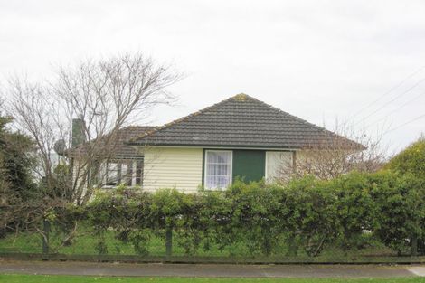 Photo of property in 55 Power Street, Levin, 5510