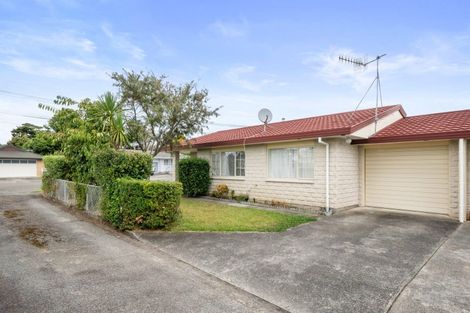 Photo of property in 65 Winchester Street, Levin, 5510