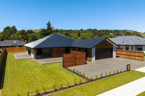 Photo of property in 31 Turnbull Drive, Witherlea, Blenheim, 7201