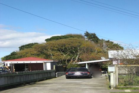 Photo of property in 4a Middlesex Street, Levin, 5510