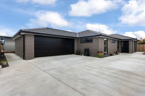 Photo of property in 30a Graham Street, Levin, 5510