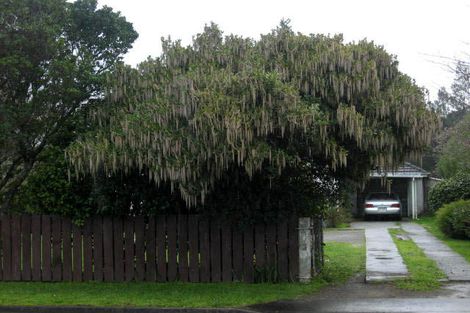 Photo of property in 468 High Street South, Carterton, 5713