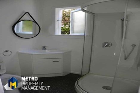 Photo of property in 41 Albert Street, Saint Clair, Dunedin, 9012