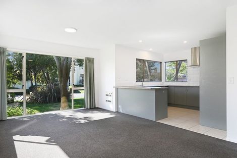 Photo of property in 163 Regent's Park Drive, Casebrook, Christchurch, 8051
