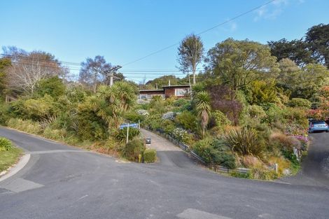 Photo of property in 51 Irvine Road, The Cove, Dunedin, 9077