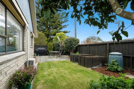 Photo of property in 36a Hillstone Avenue, Gate Pa, Tauranga, 3112