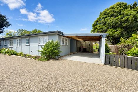 Photo of property in 187 Vogel Street, Roslyn, Palmerston North, 4414