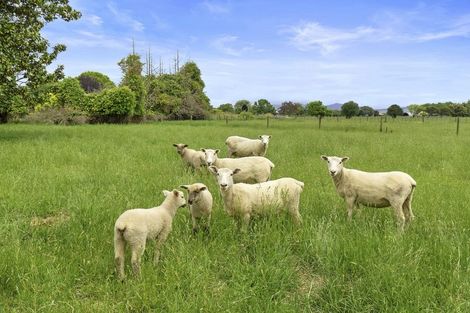 Photo of property in 238a No 9 Road, Springdale, Waitoa, 3380