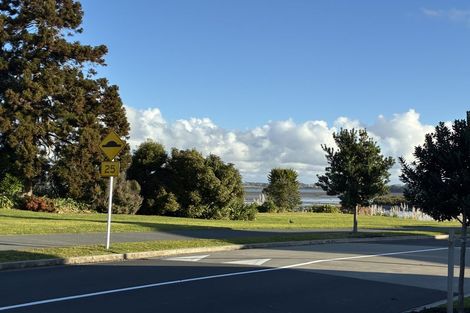 Photo of property in 101 Waituarua Drive, Takanini, Auckland, 2112