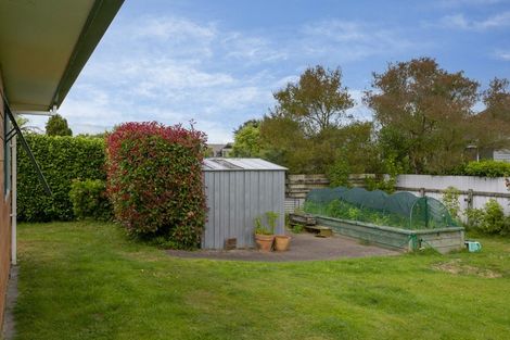 Photo of property in 19 Lakewood Drive, Nukuhau, Taupo, 3330