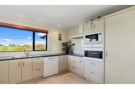 Photo of property in 60 Spring Road, Gleniti, Timaru, 7910