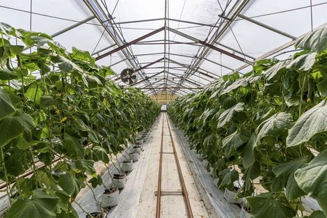 Photo of property in 386 Drury Hills Road, Drury, 2577