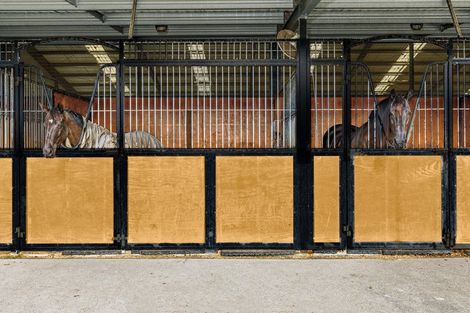 Photo of property in 942a Leigh Road, Big Omaha, Warkworth, 0985