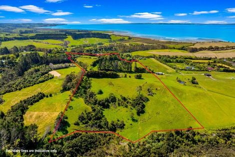 Photo of property in 119 Shelly Beach Road, Shelly Beach, Helensville, 0874