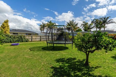 Photo of property in 111 Ridge Street, Otumoetai, Tauranga, 3110