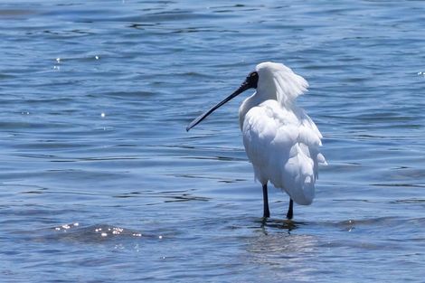 Photo of property in 3/45 Beach Road, Waikawa, Picton, 7220