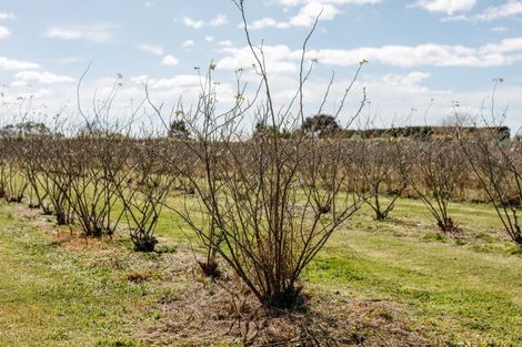 Photo of property in 36 Hogbin Road, Te Teko, Whakatane, 3193