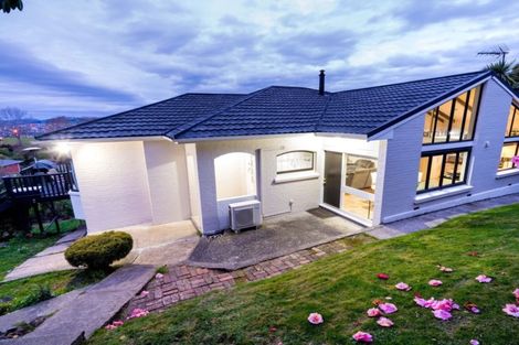 Photo of property in 135 Glenpark Avenue, Maryhill, Dunedin, 9011