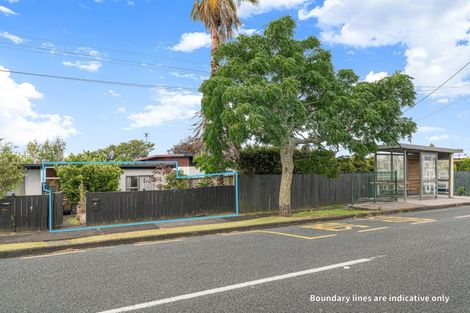 Photo of property in 3/87 Nikau Street, New Lynn, Auckland, 0600