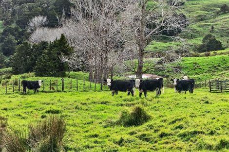 Photo of property in 63 Porter Road, Paparoa, 0571