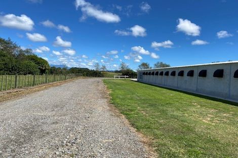 Photo of property in 116 Ngatimaru Road, Tikorangi, Waitara, 4383