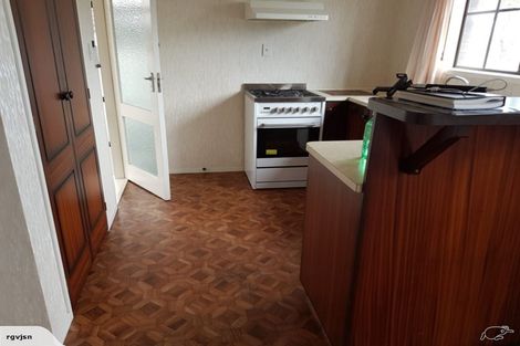 Photo of property in 48 Anglesea Street, Hamilton Central, Hamilton, 3204