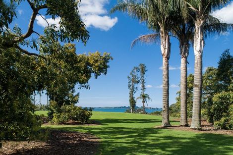 Photo of property in 317 Pahoia Road, Whakamarama, Tauranga, 3172