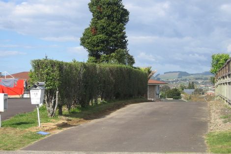 Photo of property in 14 Lincoln Terrace, Gate Pa, Tauranga, 3112