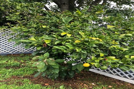 Photo of property in 35b Trentham Road, Papakura, 2110