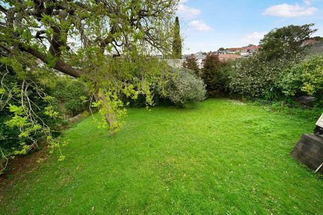 Photo of property in 55 Batkin Road, New Windsor, Auckland, 0600