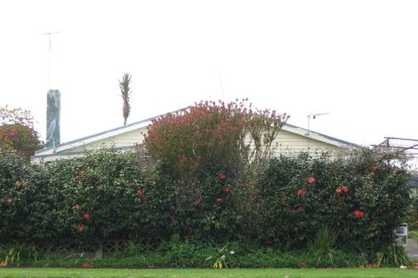 Photo of property in 100 Cracroft Street, Waitara, 4320