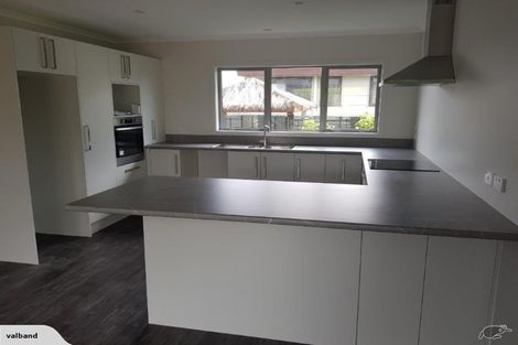 Photo of property in 48a Bandon Street, Frankton, Hamilton, 3204