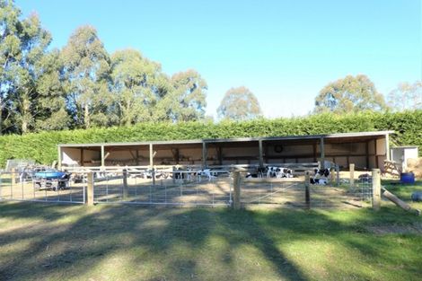 Photo of property in 214 Ferry Road, Richmond, Oamaru, 9494