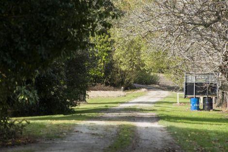 Photo of property in 1468 Matawai Road, Ormond, Gisborne, 4071