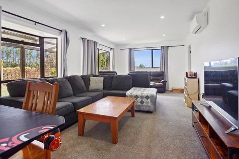 Photo of property in 14 Tetley Road, Tahawai, Katikati, 3178