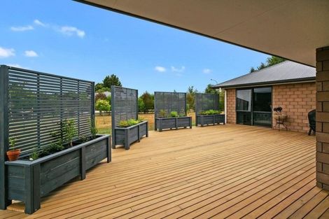 Photo of property in 607 Ross Street, Pirongia, 3802