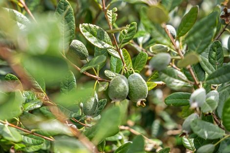 Photo of property in 5 Church Street, Aratapu, Dargaville, 0371