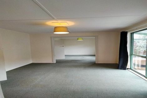 Photo of property in 403 North Road, North East Valley, Dunedin, 9010