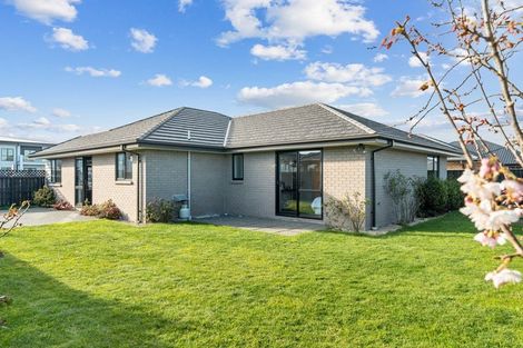 Photo of property in 191 Kittyhawk Avenue, Wigram, Christchurch, 8042