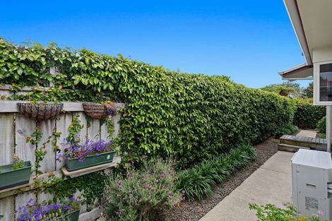 Photo of property in 14b Lord Cobham Avenue, Whakatane, 3120