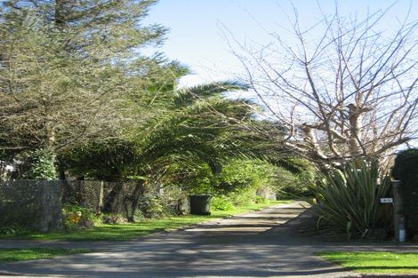 Photo of property in 85 Queenwood Road, Levin, 5510