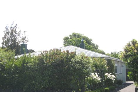 Photo of property in 61 Milton Street, Somerfield, Christchurch, 8024