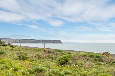 Photo of property in 238 Whirinaki Road, Eskdale, Napier, 4182